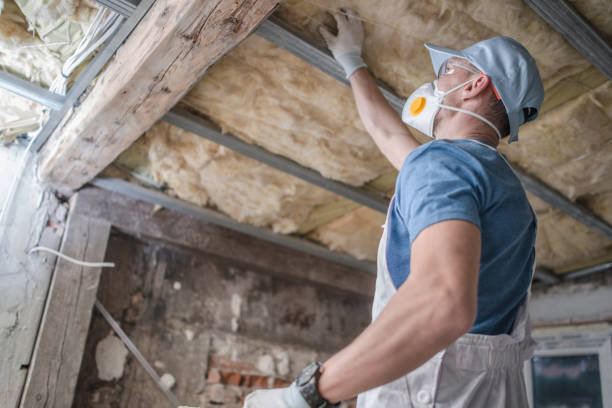 Best Blown-in Insulation  in Spartanburg, SC