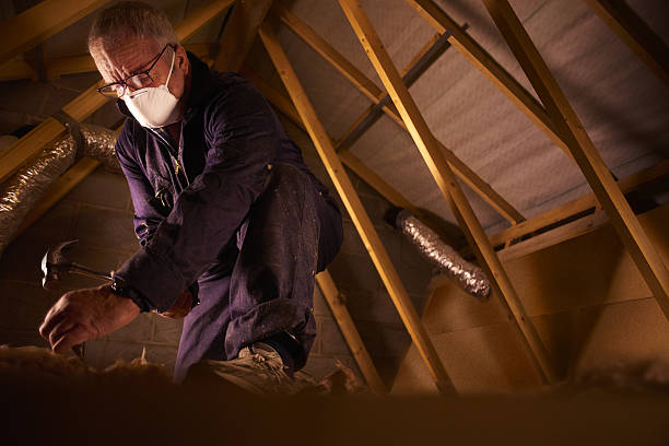 Best Insulation for New Construction  in Spartanburg, SC