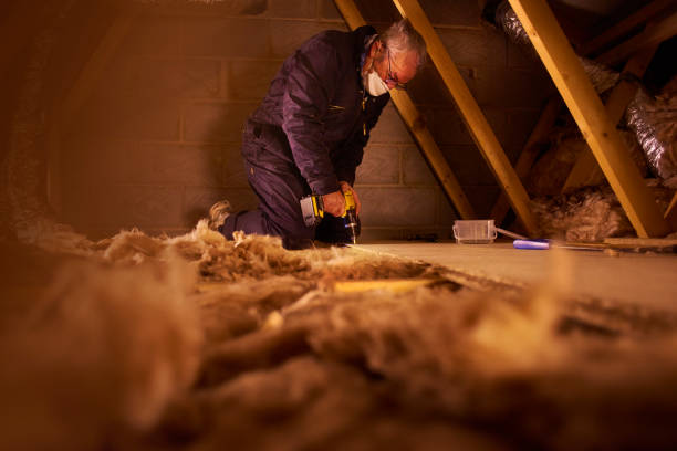 Best Local Insulation Services  in Spartanburg, SC